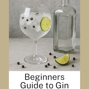 Beginner&#39;s Gin Guide: Styles, Tasting & Cocktails (PDF Downloadable Guidebook)