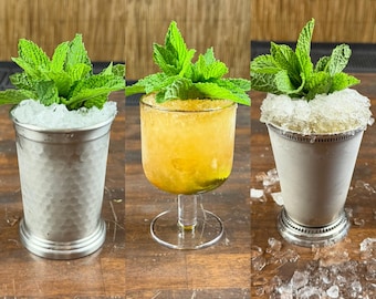 Backyard Bartender Cocktail Recipes | Summer Drinks, Craft Syrups (Digital Download)