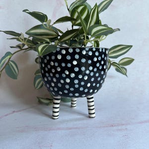 Può includere: Un vaso in ceramica nera con un motivo a pois bianchi, sostenuto da tre gambe corte con strisce orizzontali nere e bianche. Il vaso contiene una pianta ricadente con foglie variegate di colore verde e bianco.