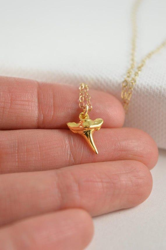 Gold Vermeil Shark Tooth Necklace – Dainty Beach Pendant in Gold or Silver Shark Tooth Jewelry
