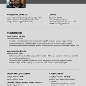 Professional Resume Template | Canva Editable CV | Modern & Clean ...