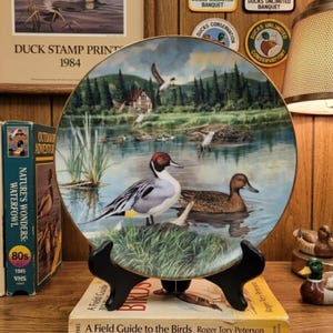 May include: A decorative plate featuring a serene pond scene with ducks, reeds, and a small house in the background. The plate is displayed on a black stand, with a VHS tape and a book titled "A Field Guide to the Birds" visible.