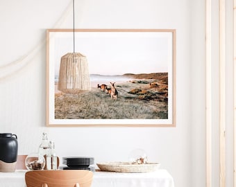 May include: A framed photograph of a group of kangaroos walking on a grassy beach with a light blue sky and a light brown sandy beach in the background.