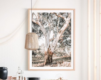 May include: A framed print of a large, white-barked tree with green leaves against a blurred background of trees and foliage. The print is in a light wood frame.