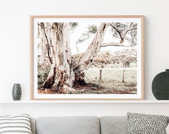 May include: A framed photograph of a large tree with a gnarled trunk and branches, set against a backdrop of a grassy field and a fence. The image is in a light, muted colour palette with a vintage feel.