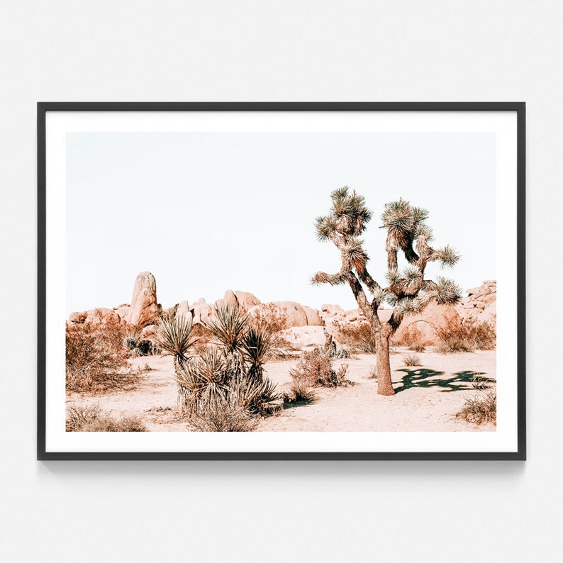Desert Print | Joshua Tree | Modern Photography Wall Art | California ...
