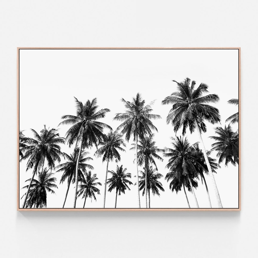 Black and White Tropical Print | Coconut Sky | Canvas Artwork ...
