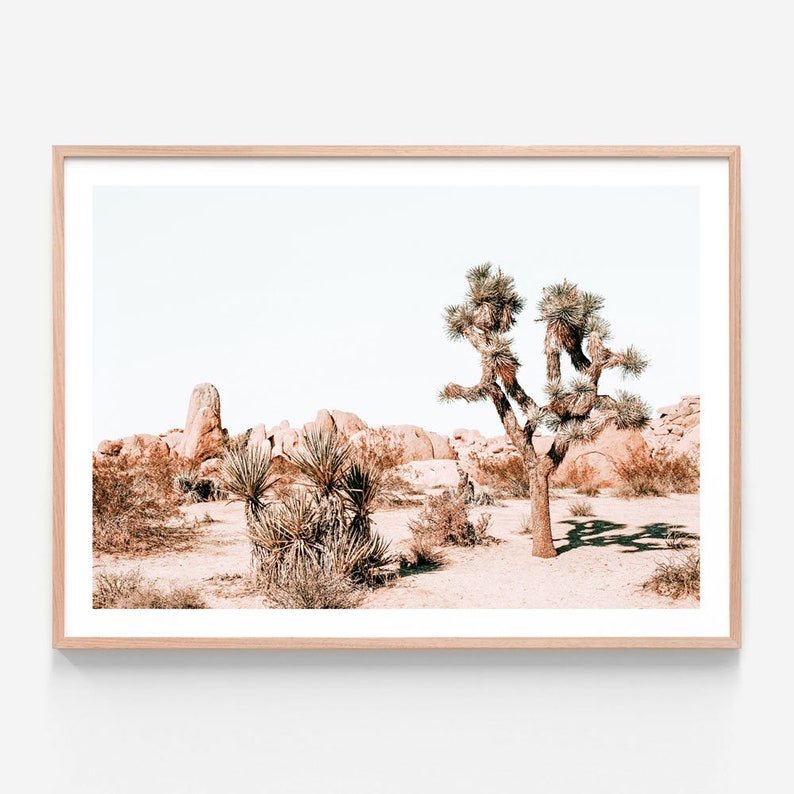 Desert Print | Joshua Tree | Modern Photography Wall Art | California ...