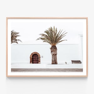 Australian Made Wall Decor | Casa Palm | Palm Fronds | Spanish | Clean Simple Elegant Architecture | Framed Art Print or Poster