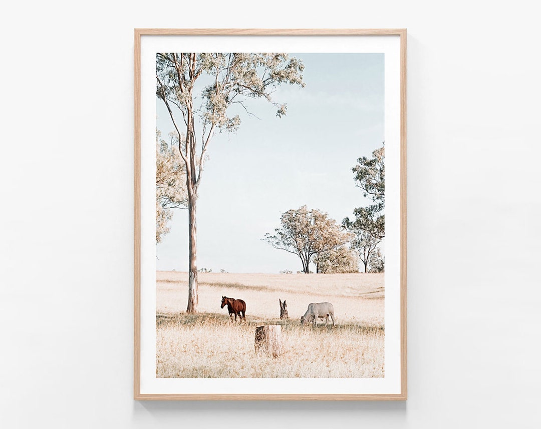 Photography Framed Print or Poster Australian Landscape Etsy 日本