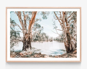 May include: A photograph of a tranquil river scene with two large trees framing the view. The trees have light brown bark and their branches reach out over the water. The water is a light blue colour and reflects the sky. The scene is peaceful and serene.