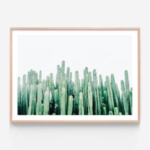 Desert Print | Cacti Cluster | Cactus | Modern Photography Wall Art | Framed Print or Poster