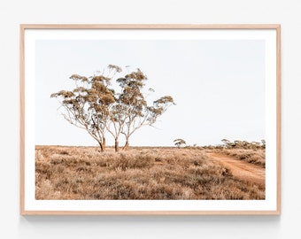 May include: A photograph of a lone tree in a dry, brown field with a dirt road leading off into the distance. The sky is a pale blue.