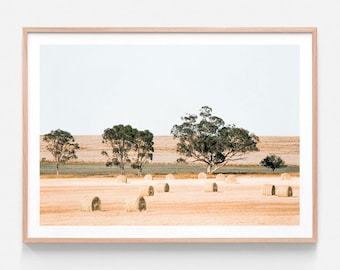 May include: A framed photograph of a field with hay bales scattered across the ground. The field is surrounded by trees and a blue sky. The photograph is in a light wood frame.