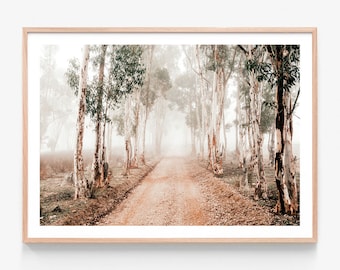 May include: A dirt road winds through a misty forest of tall, white-barked trees. The trees are lined up on either side of the road, creating a tunnel-like effect. The fog adds a sense of mystery and intrigue to the scene.
