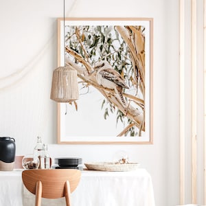 May include: A framed print of a kookaburra perched on a branch of a eucalyptus tree. The bird is brown and white with a long beak. The background is a soft white with a few leaves visible.