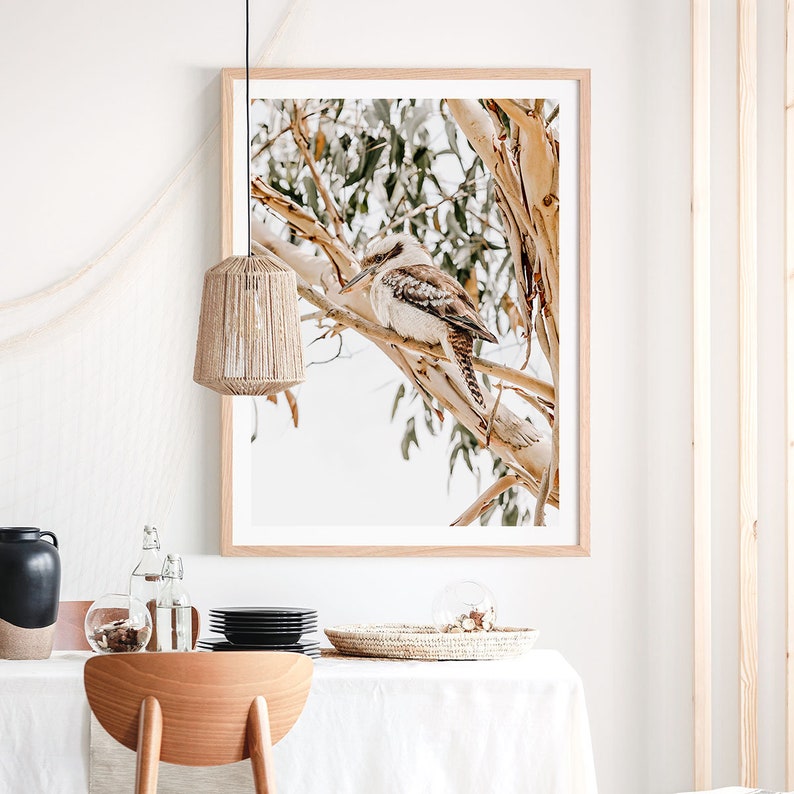 May include: A framed print of a kookaburra perched on a branch of a eucalyptus tree. The bird is brown and white with a long beak. The background is a soft white with a few leaves visible.