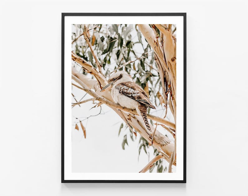 May include: A brown and white kookaburra bird perched on a branch of a tree with green leaves. The bird is looking to the left of the frame. The background is a light blue sky.