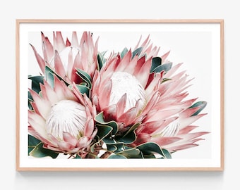 Protea Print | Protea Cluster | Flower Photography Wall Art | Australian Native | Floral Framed Print or Poster