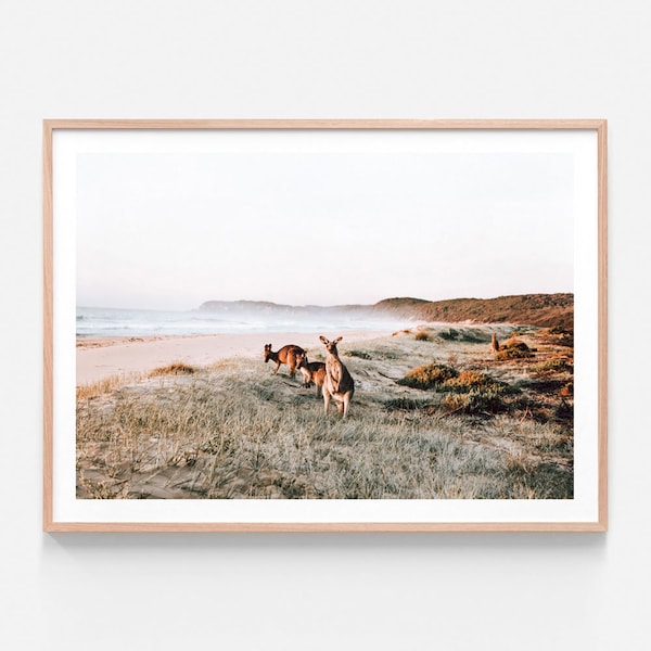 Australian Native Photography | Beach Kangaroos | Wall Art Framed Print or Poster | Coastal Wall Decor