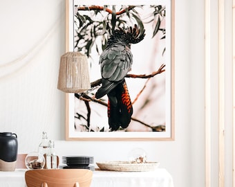May include: A black and red cockatoo perched on a branch with green leaves. The bird is facing away from the camera, showing its red and black tail feathers.