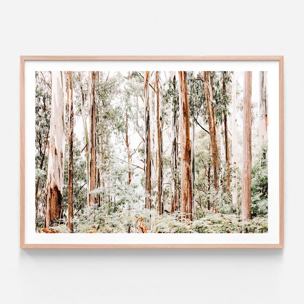 Printable Wall Art Etsy Australia