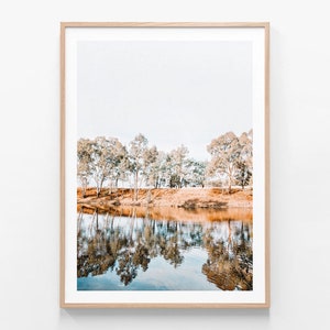 Australian Photography | River Banks | Bush | Outback | Gum | Trees | Murray | Country | Aussie | Modern Wall Art | Framed Print or Poster