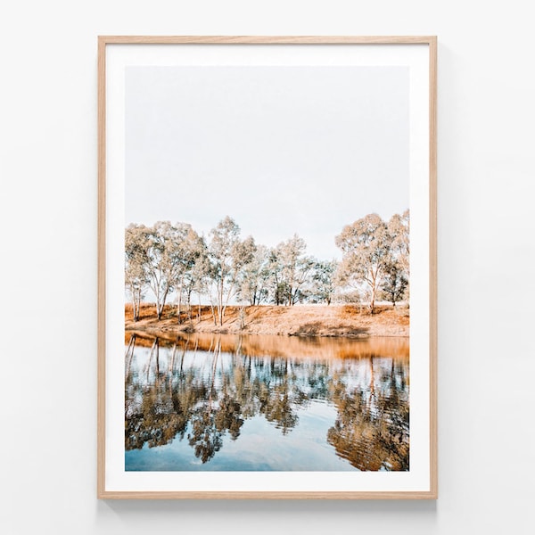 Australian Photography | River Banks | Bush | Outback | Gum | Trees | Murray | Country | Aussie | Modern Wall Art | Framed Print or Poster