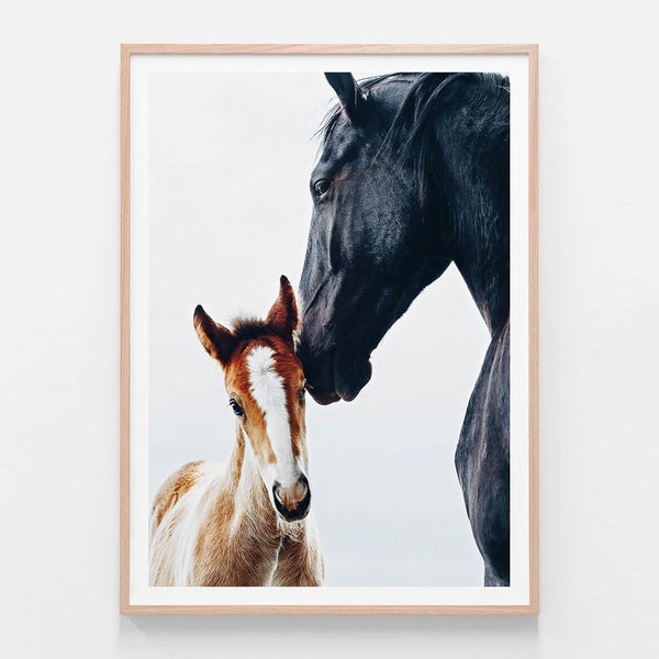 Horse Wall Art Print | Young Foal | Pony | Horse Photography Framed Print or Poster