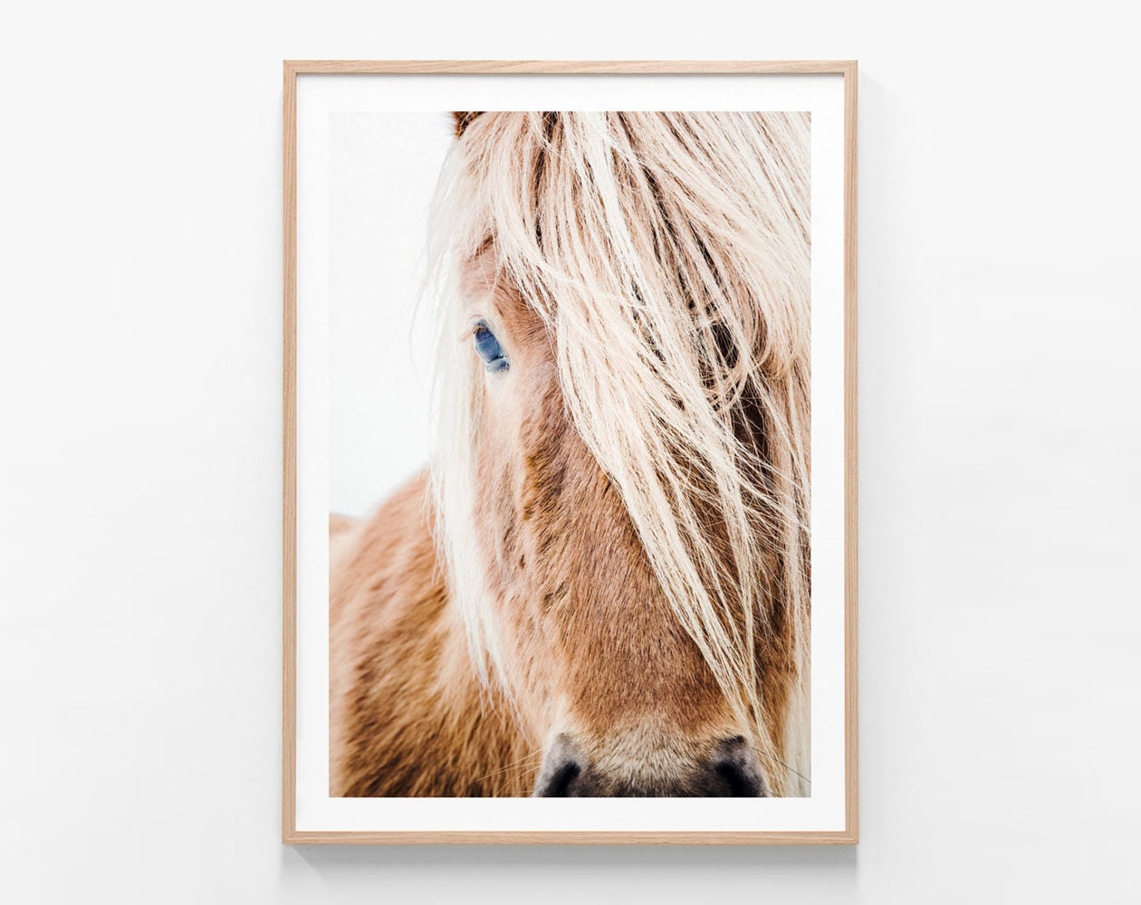 Horse Photography Print Wild Pony Wall Art Decor Icelandic Horse