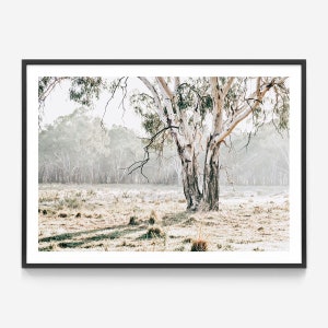 【大型・額縁付き】シドニー・ハーバーブリッジ 風景画 油絵 アート 大型・額縁付き】シドニー・ハーバーブリッジ 風景画 油絵 アート