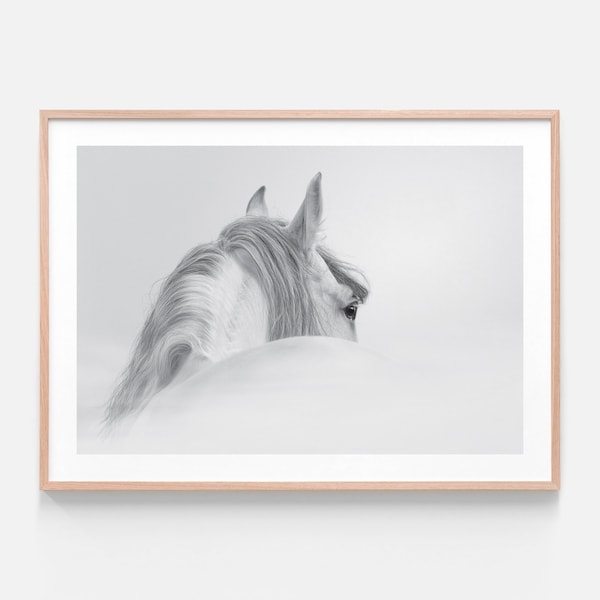 Black and White Horse Prints Etsy Australia