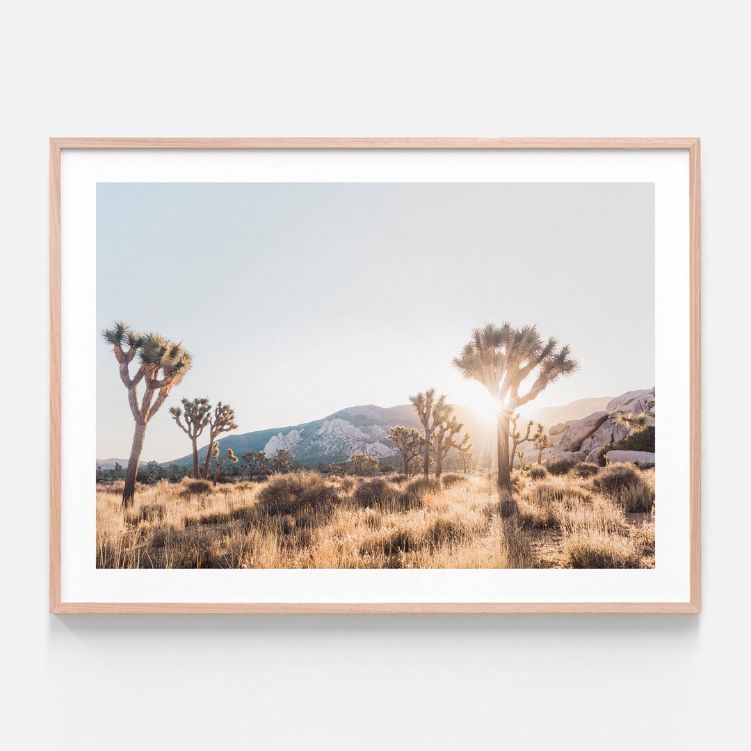 Desert Print | Joshua Tree II | Modern Photography Wall Art | Framed ...