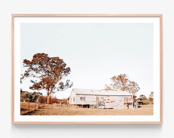 May include: A weathered, white farmhouse with a rusty metal roof sits on a grassy field. A large tree with brown leaves stands to the left of the house, and a smaller tree with brown leaves is to the right. The sky is a pale blue.
