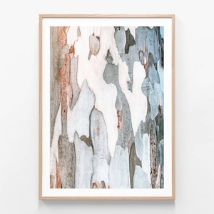 Australian Native Floral Photography | Iron Bark | Wall Art | Tree | Flower Framed Print or Poster