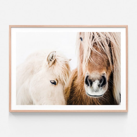 Horse wall decor deals