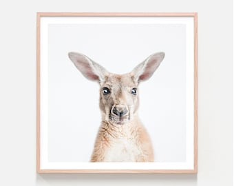 Hello Kangaroo Print | Nursery Wall Art | Australian | Native | Framed Print or Poster