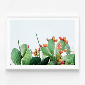 Desert Print | Prickly Fruits | Cacti Cluster | Cactus | Mexican Style Modern Photography Wall Art | Australian Made Framed Print or Poster