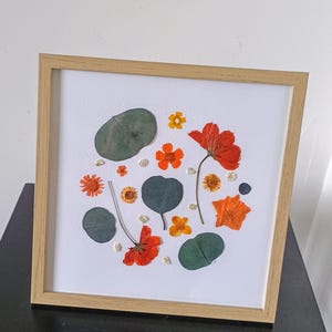 Herbarium frame of pressed dried flowers