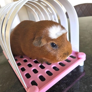 Guinea pigs and small pets bed (tunnel version!)