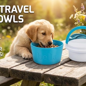 Sleek Personalised Pet Travel Bowl 2-in-1 Set – Modern, Compact & Made for Adventures