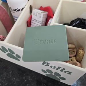May include: A white multi-compartment storage organizer featuring green paw print decals and the name Bella printed on the front. A square green lid with the word Treats embossed on the top rests over one of the compartments containing brown treats.
