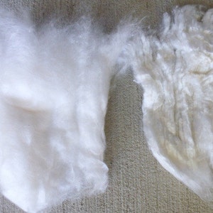 May include: Two white fluffy pieces of fiber, one is a loose clump and the other is a more structured piece.