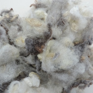 May include: A close-up of a pile of white and gray wool fibers. The wool is soft and fluffy, and it appears to be hand-spun.