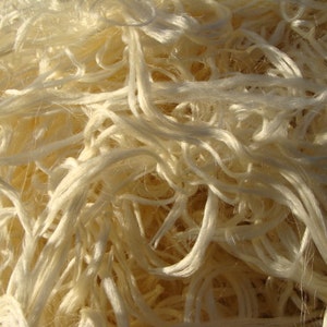 May include: A close-up of a pile of white, natural fibers. The fibers are long and thin, and they are tangled together in a random pattern.