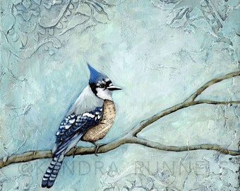 Winter Blue Jay - Limited Edition Giclee