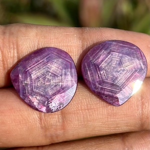 Puede incluir: Dos gemas pulidas en forma de corazón, de un tono púrpura intenso. Cada piedra presenta un patrón único en forma de estrella dentro de su superficie facetada, que refleja la luz. Las gemas se sostienen en una mano.