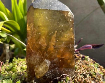 Large Natural Citrine Tower: Golden Crystal Point, Feng Shui Decor (9 inch, 2.07kg )