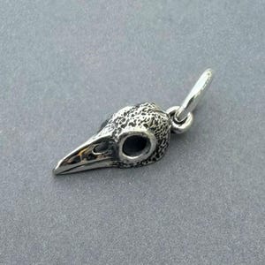 以下が含まれることがあります： 鳥の頭蓋骨の形をした銀色の金属製ペンダント。表面は質感のある凹凸があり、くちばしは滑らかで尖っています。頭蓋骨には空洞の眼窩があり、吊り下げ用の小さな円形の金属製丸カンが付いています。