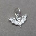 see more listings in the Silver Charms section